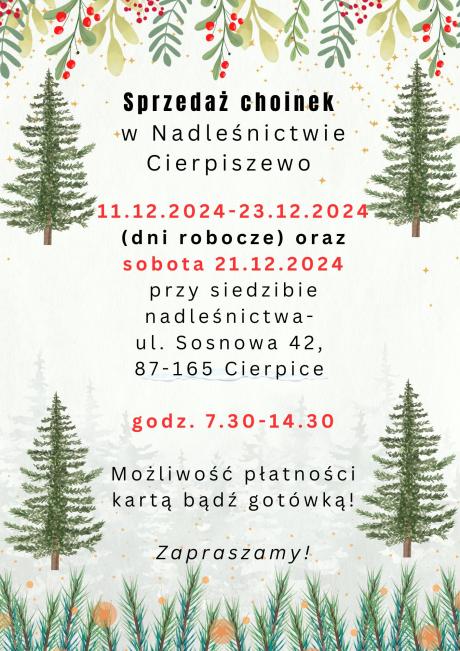 Akcja sprzedaży świątecznych drzewek rusza już w środę 11.12.2024 !