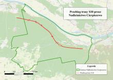 Komunikat dotyczący wycinki drzew pod budowę drogi S10 na terenie Nadleśnictwa Cierpiszewo